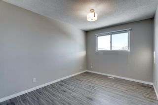 Photo 21: 3812 49 Street NE in Calgary: Whitehorn Detached for sale : MLS®# A1054455
