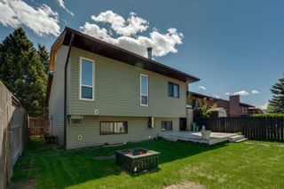 Photo 37: 252 Marquis Place SE: Airdrie Detached for sale : MLS®# A2139914