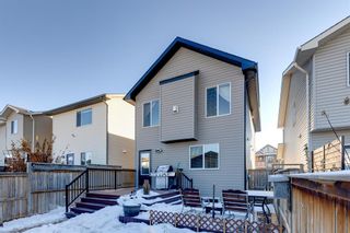 Photo 28: 404 Cranberry Circle SE in Calgary: Cranston Detached for sale : MLS®# A2021203