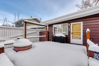 Photo 40: 608 Willow Park Drive SE in Calgary: Willow Park Detached for sale : MLS®# A2021978