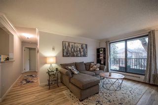 Photo 9: 201 727 56 Avenue SW in Calgary: Windsor Park Apartment for sale : MLS®# A1160977