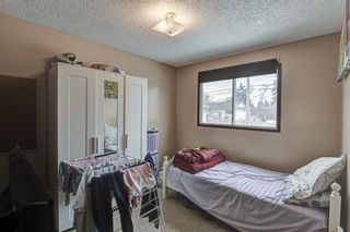 Photo 8: 53 & 55 Dovercliffe Way SE in Calgary: Dover Duplex for sale : MLS®# A1178005