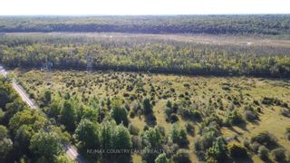 Photo 13: Lt 12 Bexley Laxton Twp Line in Kawartha Lakes: Rural Bexley Property for sale : MLS®# X6780842