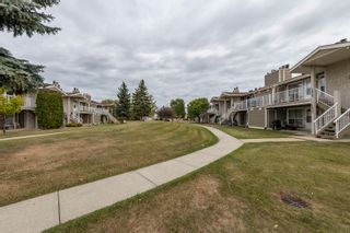 Photo 41: 1824 111A Street in Edmonton: Zone 16 Carriage for sale : MLS®# E4269754