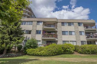 Photo 7: 211 31955 OLD YALE ROAD in Abbotsford: Abbotsford West Condo for sale : MLS®# R2274586