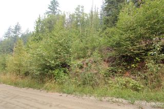Photo 3: Lot 151 Vickers Trail in Anglemont: Land Only for sale : MLS®# 10243742