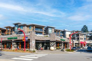 Main Photo: 209 3220 CONNAUGHT Crescent in North Vancouver: Edgemont Condo for sale in "Connaught" : MLS®# R2865042