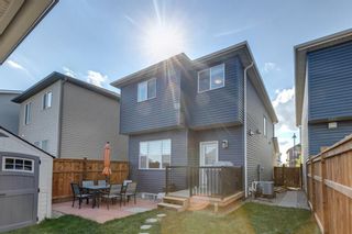 Photo 41: 235 Legacy Glen Way SE in Calgary: Legacy Detached for sale : MLS®# A1243343