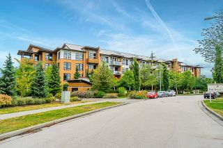 Photo 25: 215 220 SALTER Street in New Westminster: Queensborough Condo for sale : MLS®# R2711059