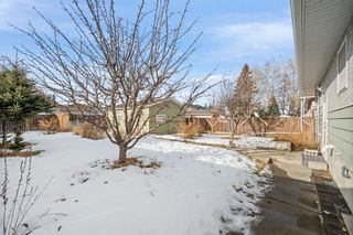Photo 31: 1119 40 Street SE in Calgary: Forest Lawn Detached for sale : MLS®# A2021142