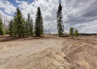 Photo 15: TWP 290 / Winchell Lake Rd: Rural Mountain View County Residential Land for sale : MLS®# A1217315