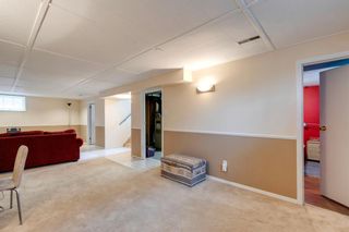 Photo 18: 4015 4 Avenue SW in Calgary: Wildwood Detached for sale : MLS®# A2052094