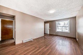 Photo 4: 176 Dovely Crescent SE in Calgary: Dover Detached for sale : MLS®# A2118047