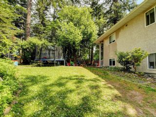 Photo 24: 4157 Carey Rd in Saanich: SW Northridge House for sale (Saanich West)  : MLS®# 932564