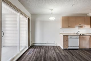 Photo 18: 3209 1620 70 Street SE in Calgary: Applewood Park Apartment for sale : MLS®# A1116068