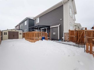 Photo 35: 12 Yorkstone Heath SW in Calgary: Yorkville Detached for sale : MLS®# A2124554