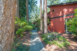 Photo 54: 888 Falkirk Ave in North Saanich: NS Ardmore House for sale : MLS®# 882422