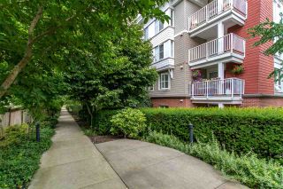 Photo 16: 213 12283 224 STREET in Maple Ridge: West Central Multi-family for sale : MLS®# R2474445