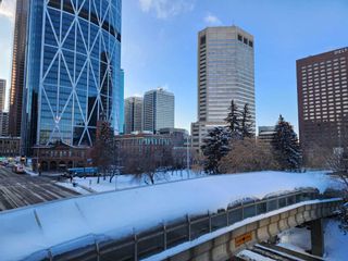 Photo 17: 412 221 6 Avenue SE in Calgary: Downtown Commercial Core Apartment for sale : MLS®# A2126726