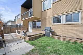 Photo 28: 103 607 69 Avenue SW in Calgary: Kingsland Apartment for sale : MLS®# A2125527