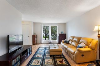 Photo 5: 12 Appletree Road SE in Calgary: Applewood Park Detached for sale : MLS®# A1232788