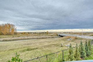 Photo 48: 141 SANDPIPER Point: Chestermere Detached for sale : MLS®# A1228638