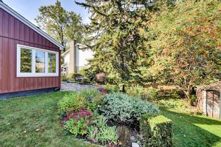Photo 48: 207 Cunningham Avenue in Ottawa: Applewood Acres House for sale (Alta Vista)  : MLS®# 1173151