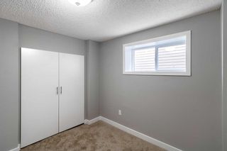 Photo 19: 95 Martin Crossing Close NE in Calgary: Martindale Detached for sale : MLS®# A2074944