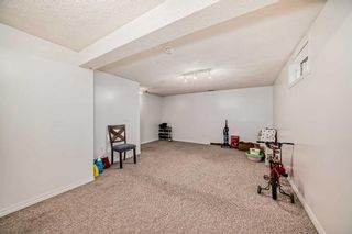 Photo 21: 341 Martindale Boulevard NE in Calgary: Martindale Detached for sale : MLS®# A2130179