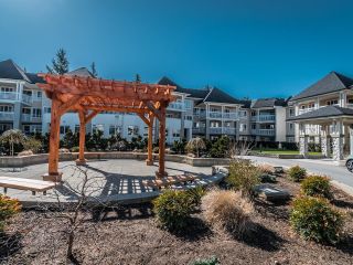 Photo 29: 222 22020 49 Avenue in Langley: Murrayville Condo for sale in "MURRAY GREEN" : MLS®# R2763334