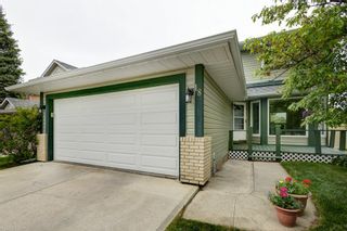 Photo 38: 18 Shannon Terrace SW in Calgary: Shawnessy Detached for sale : MLS®# A2053272