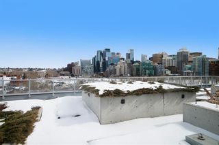 Photo 31: 508 235 9A Street NW in Calgary: Sunnyside Apartment for sale : MLS®# A2033419
