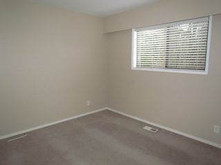 Photo 5: B 32720 East Broadway in Abbotsford: Central Abbotsford Condo for rent