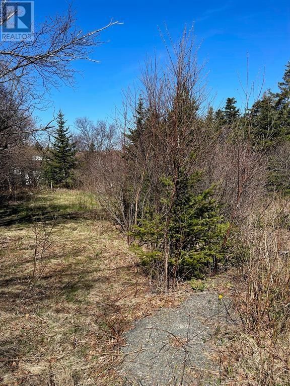 Main Photo: 5-7 Farewells Road in Creston: Vacant Land for sale : MLS®# 1264029