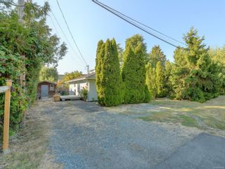 Photo 20: 101 Cadillac Ave in Saanich: SW Gateway House for sale (Saanich West)  : MLS®# 915405