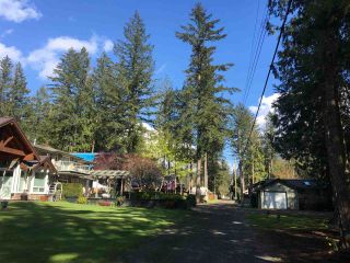 Photo 7: 625 MOUNTAIN VIEW Road: Cultus Lake House for sale : MLS®# R2360773