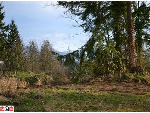 Main Photo: 31686 BENCH Avenue in Mission: Mission BC Land for sale : MLS®# F1201765