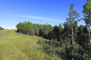 Photo 14: 15 Tumbleweed Point in Rural Rocky View County: Rural Rocky View MD Residential Land for sale : MLS®# A1176777