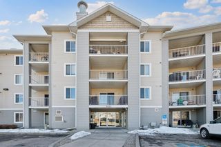 Main Photo: 3207 1620 70 Street SE in Calgary: Applewood Park Apartment for sale : MLS®# A2113690