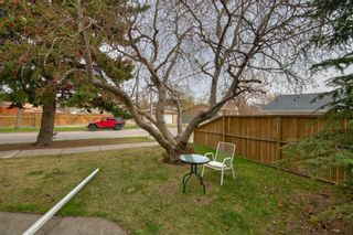 Photo 4: 1117 5 Street NE in Calgary: Renfrew Detached for sale : MLS®# A1155044