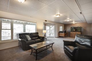 Photo 30: 100 MT COPPER Green SE in Calgary: McKenzie Lake Detached for sale : MLS®# A2041165