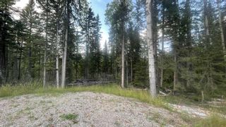 Photo 15: Lot 4 (116) 32529 Range Road 52: Rural Mountain View County Residential Land for sale : MLS®# A2098392