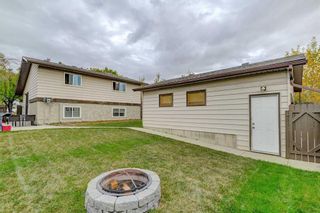 Photo 34: 311 Templeview Drive NE in Calgary: Temple Detached for sale : MLS®# A2080591