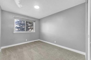 Photo 18: 16 Castlepark Way NE in Calgary: Castleridge Semi Detached (Half Duplex) for sale : MLS®# A2114958