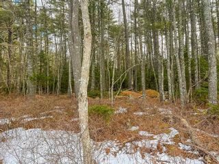 Photo 11: Lot 19 Acres Highway 8 in South Brookfield: 406-Queens County Vacant Land for sale (South Shore)  : MLS®# 202302255