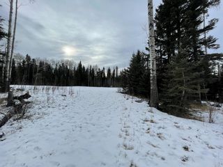 Photo 8: Lot 12 32529 Range Road 52: Rural Mountain View County Residential Land for sale : MLS®# A1174991