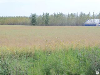 Photo 3: TWP 551 RR234: Rural Sturgeon County Vacant Lot/Land for sale : MLS®# E4382706