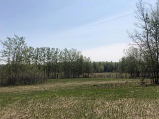 Photo 13: 0 223 Avenue W: Rural Foothills County Residential Land for sale : MLS®# A2037670