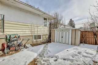 Photo 36: 739 36 Street NW in Calgary: Parkdale Detached for sale : MLS®# A2092247