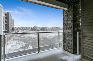 Photo 21: 2203 240 Skyview Ranch Road NE in Calgary: Skyview Ranch Apartment for sale : MLS®# A1098676